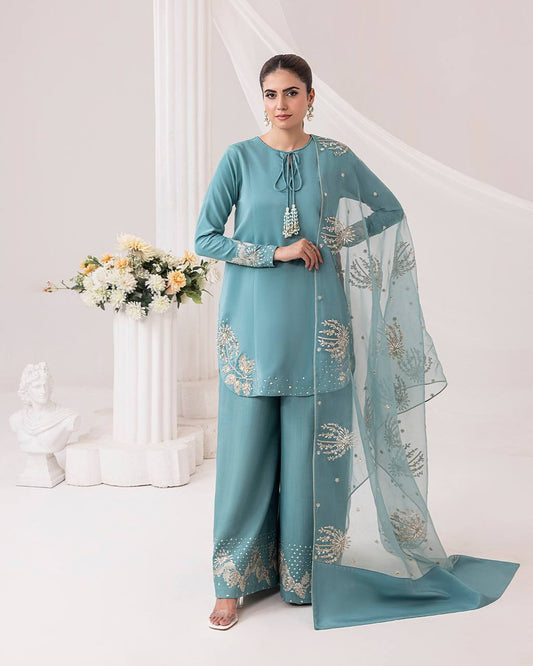 Casual Wear Embroidery Work Sky Blue Palazzo Suit