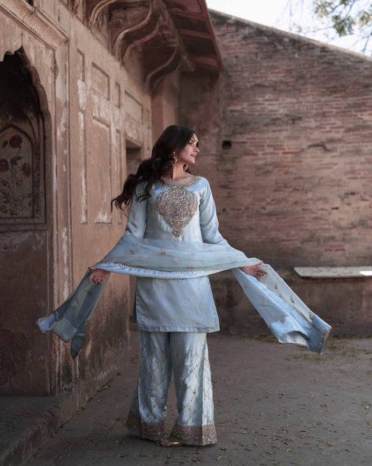 Wonderful Embroidery Work Sky Color Palazzo Suit