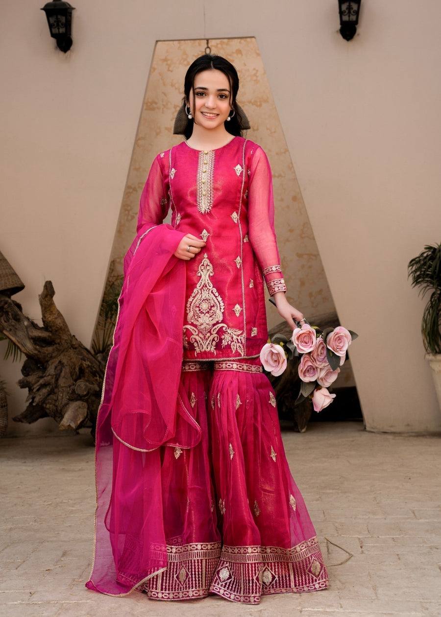 Lovely Sequence Work Pink Color Palazzo Suit