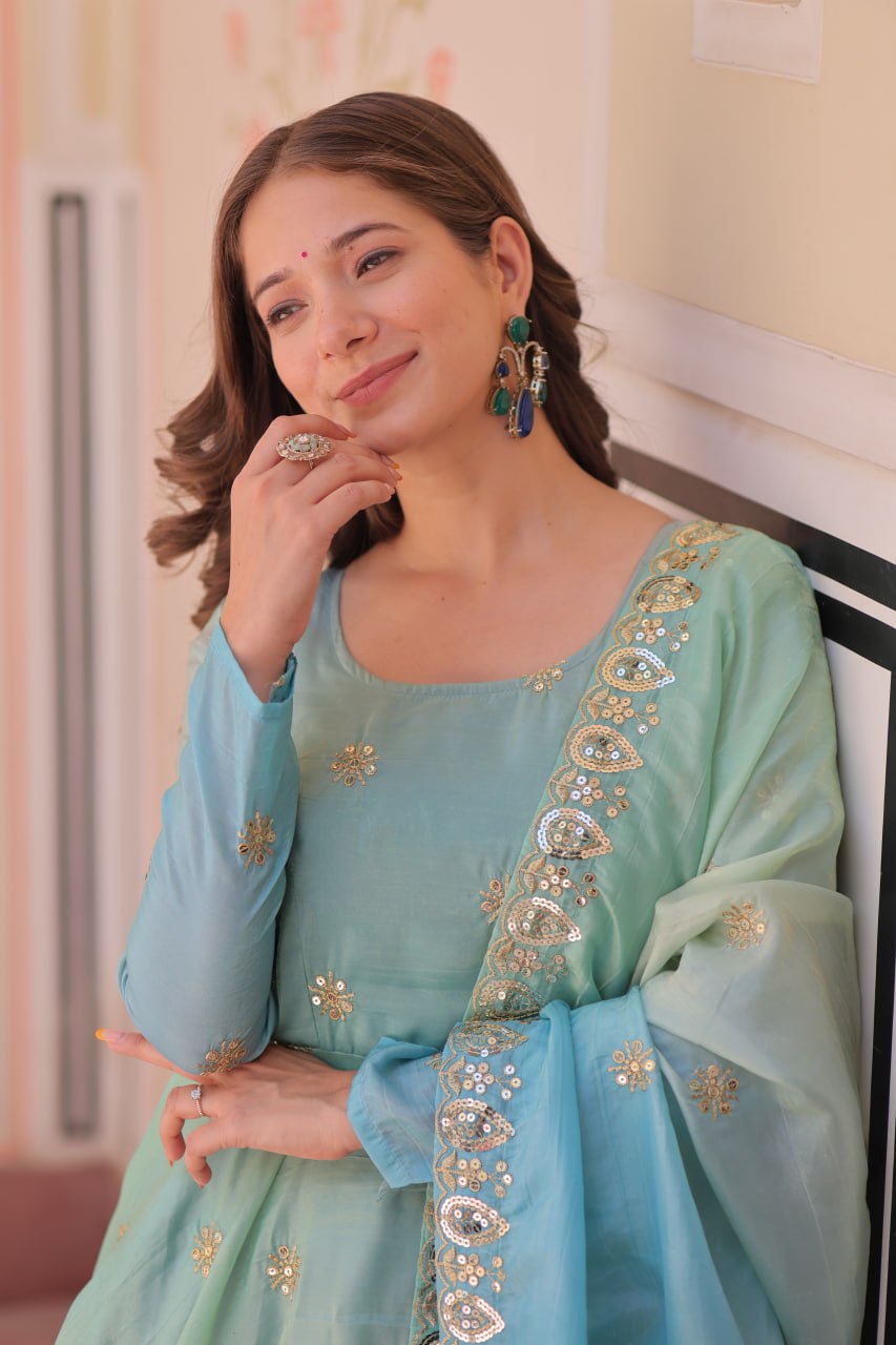 Mesmerizing Embroidered Work Sky Color Gown